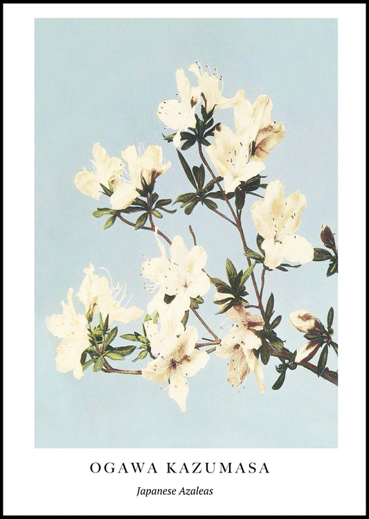 Ogawa Kazumasa - Japanese Azaleas Poster - Hakyarts