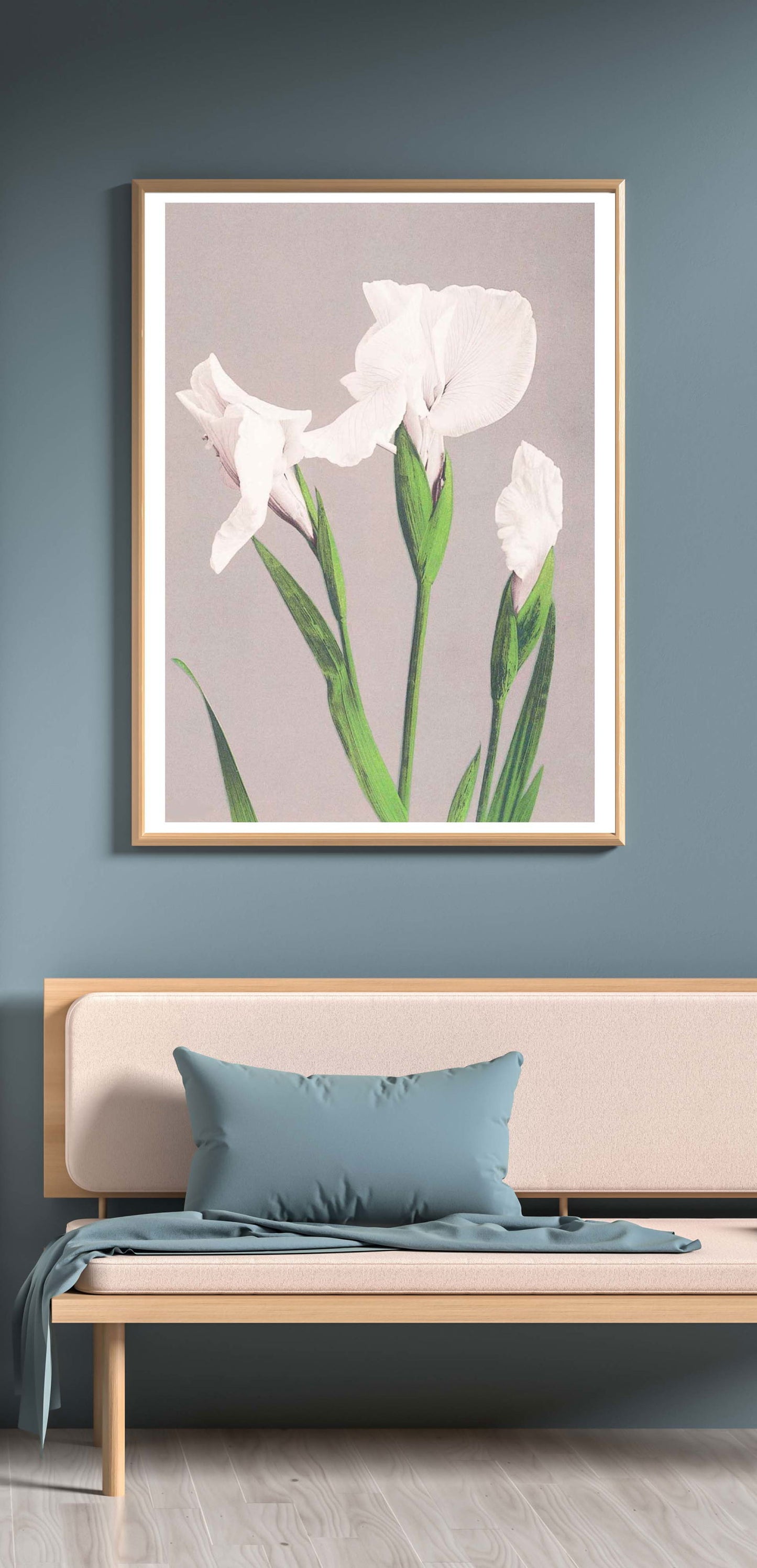 Ogawa Kazumasa - White Irises - Hakyarts