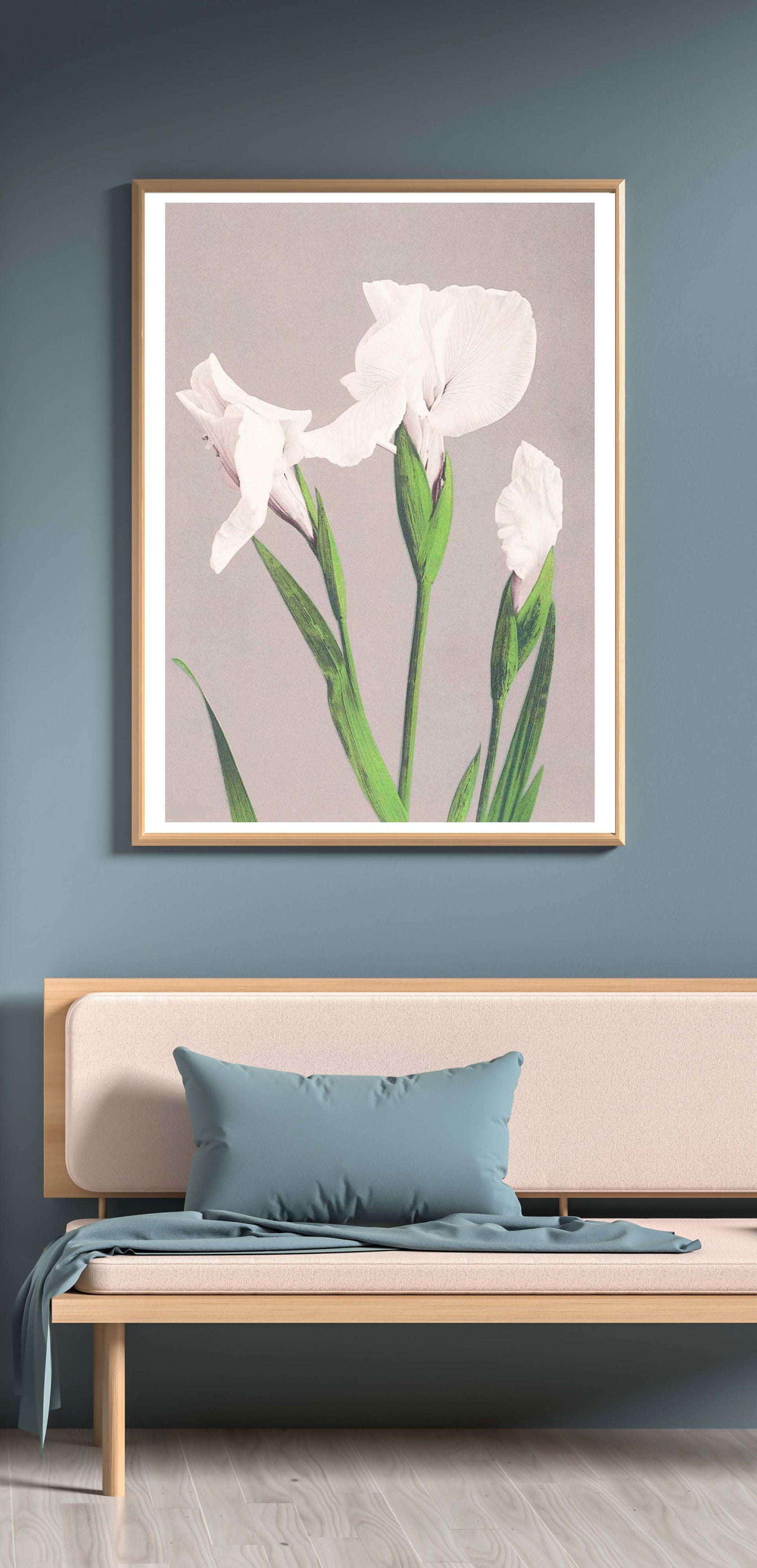 Ogawa Kazumasa - White Irises - Hakyarts