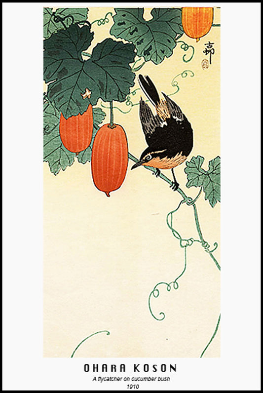 Ohara Koson - A Flycatcher with Cucumber Bush Poster - Hakyarts