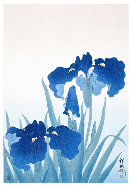 Ohara Koson - Blue Irises - Hakyarts