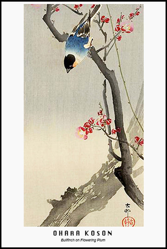 Ohara Koson - Bullfinch on Flowering Tree Poster - Hakyarts