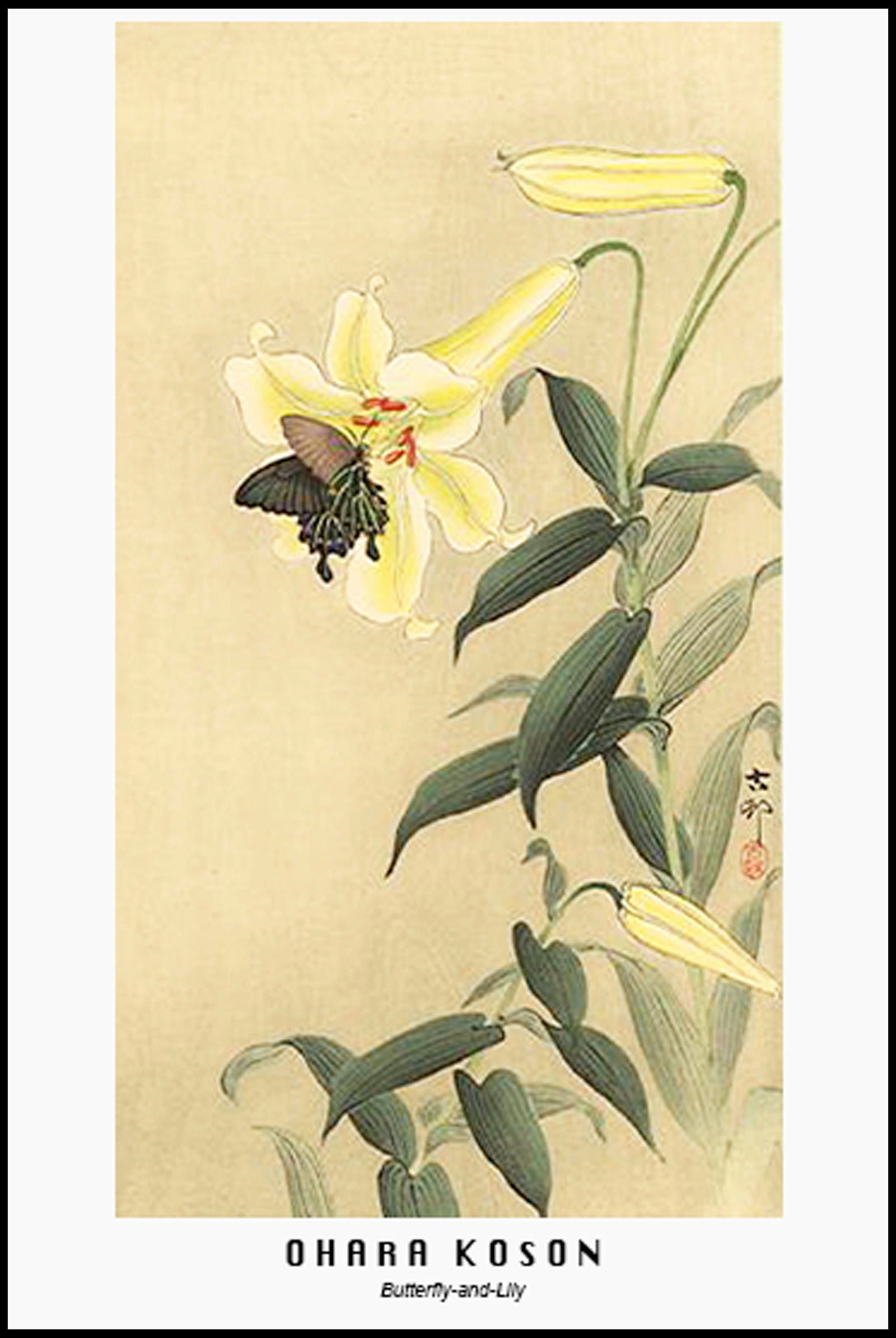 Ohara Koson - Butterfly-and-Lily Poster - Hakyarts