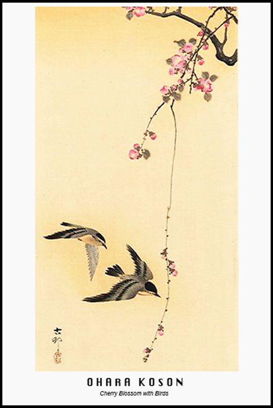 Ohara Koson - Cherry Blossom with Birds Poster - Hakyarts