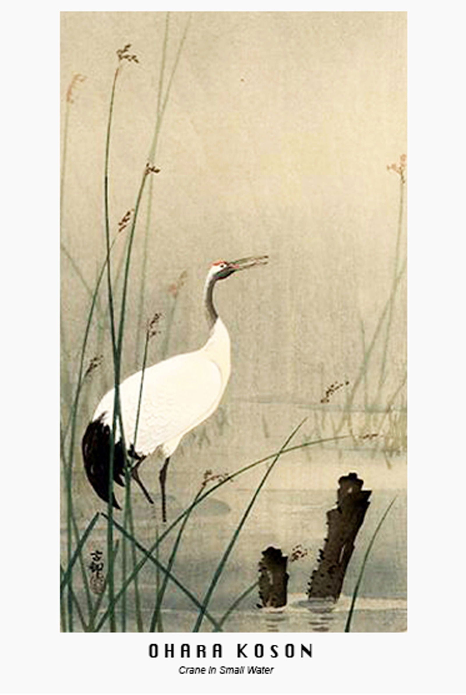 Ohara Koson - Crane in Small Water Poster - Hakyarts