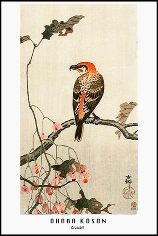 Ohara Koson - Crossbill Poster - Hakyarts