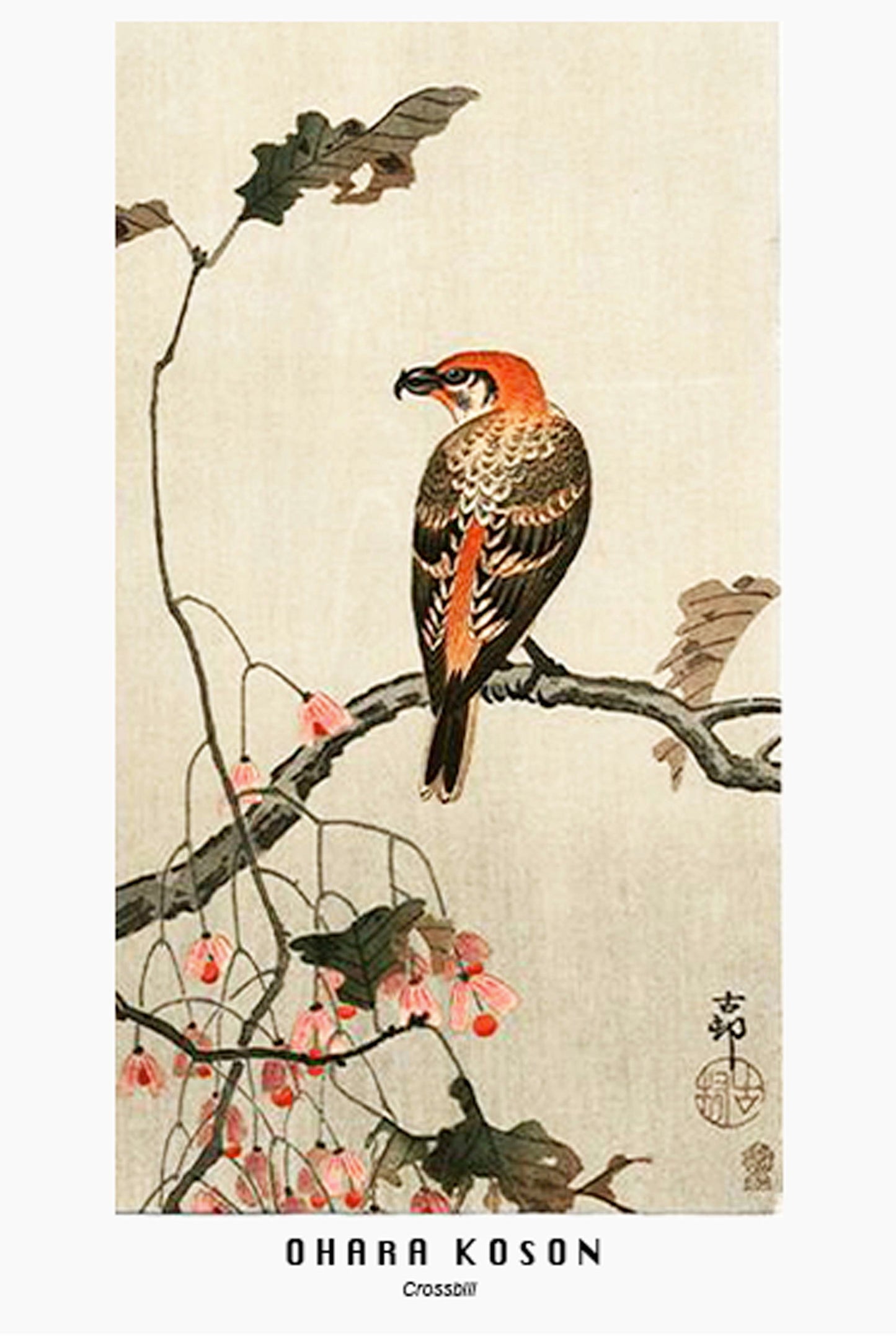 Ohara Koson - Crossbill Poster - Hakyarts