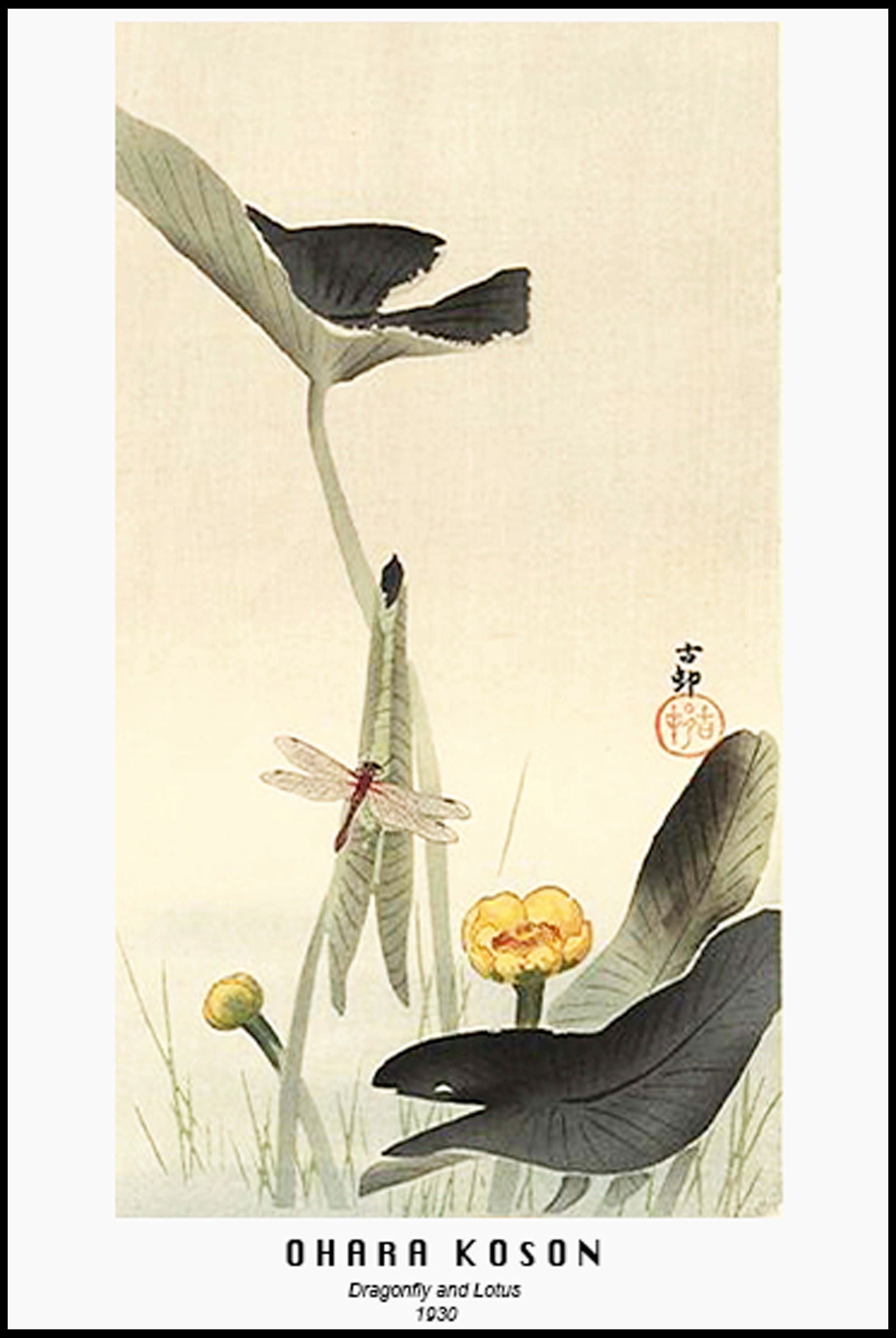 Ohara Koson - Dragonfly and Lotus Poster - Hakyarts