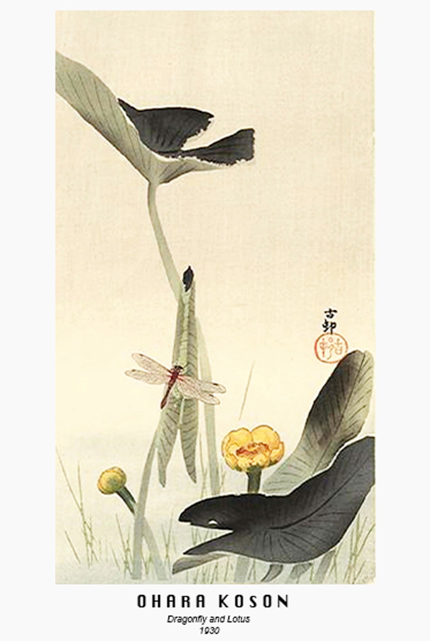 Ohara Koson - Dragonfly and Lotus Poster - Hakyarts