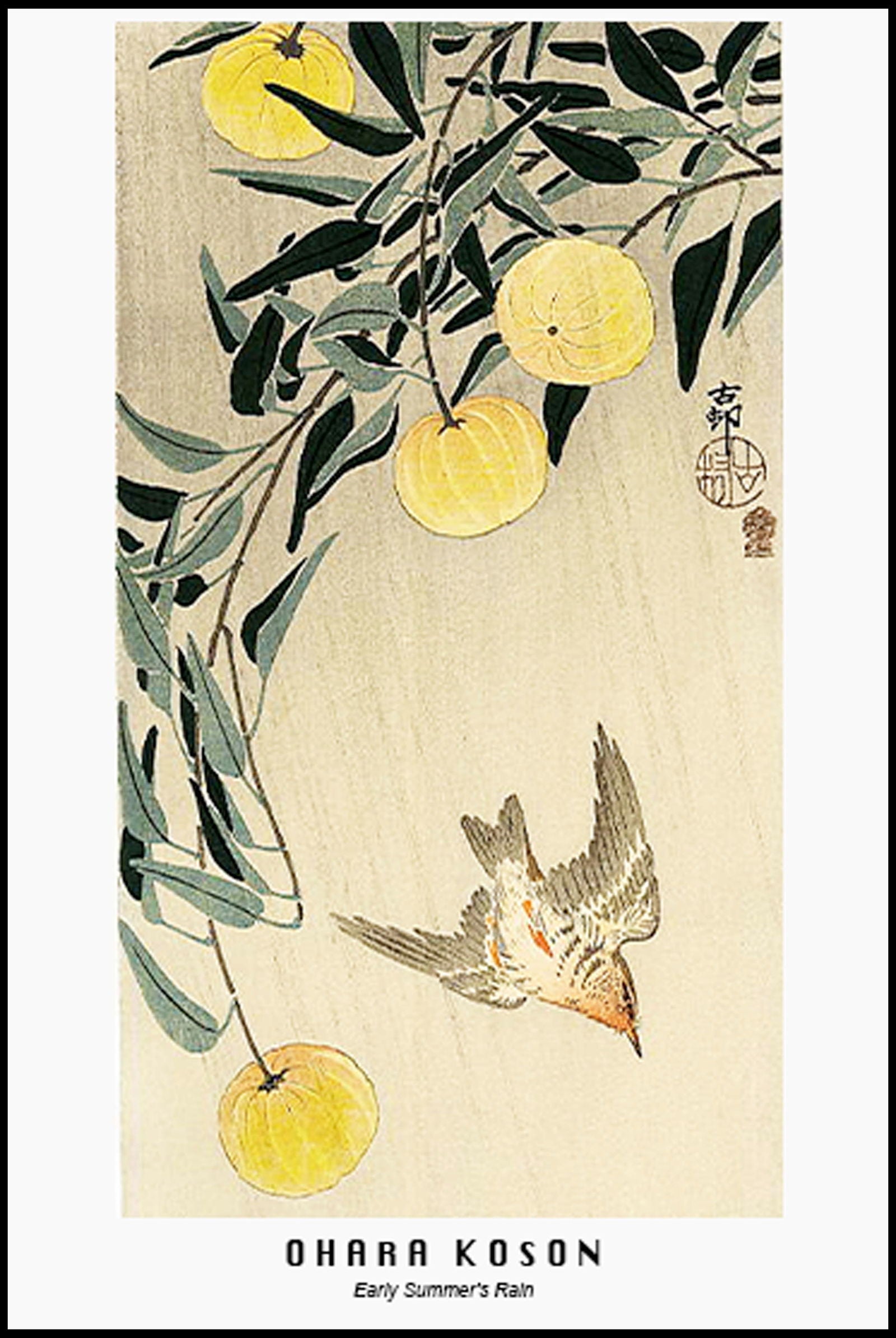 Ohara Koson - Early Summer's Rain Poster - Hakyarts