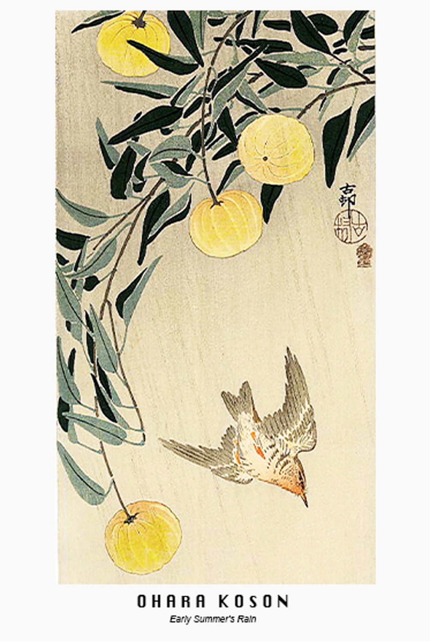 Ohara Koson - Early Summer's Rain Poster - Hakyarts