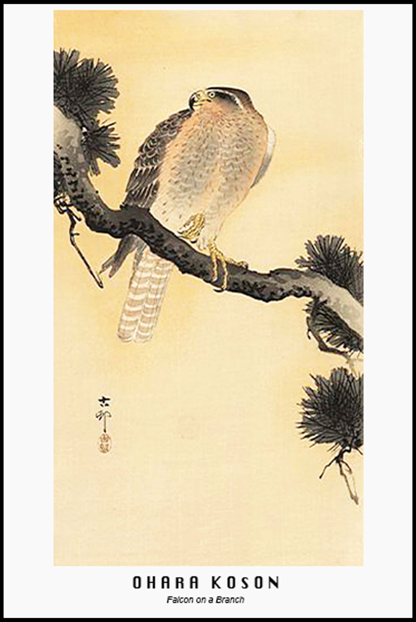 Ohara Koson - Falcon on a Branch Poster - Hakyarts