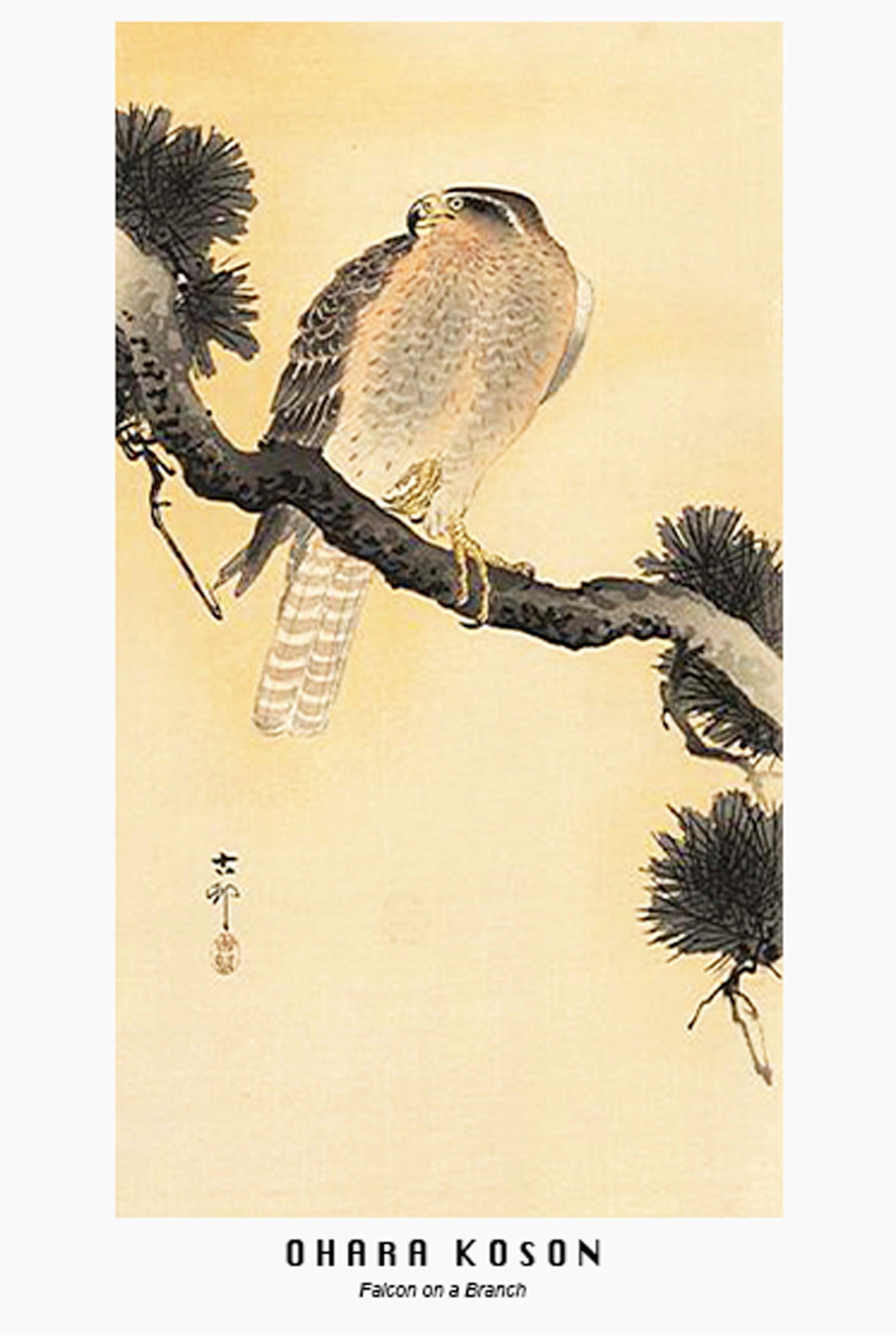 Ohara Koson - Falcon on a Branch Poster - Hakyarts