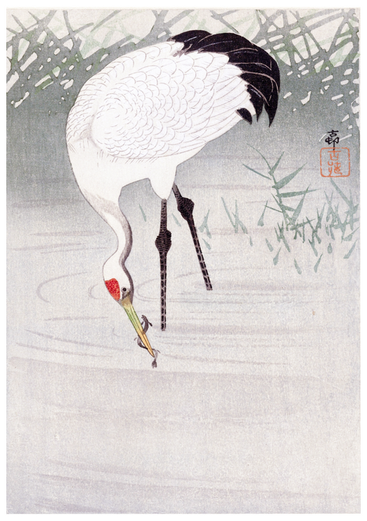 Ohara Koson - Fishing Crane in Shallow Water - Hakyarts