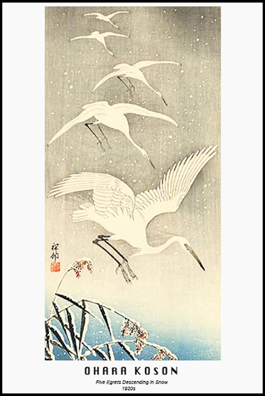 Ohara Koson - Five Egrets Descending in Snow Poster - Hakyarts