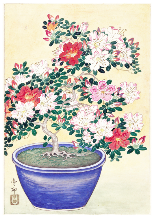 Ohara Koson - Flowering Azalea in Blue Pots - Hakyarts