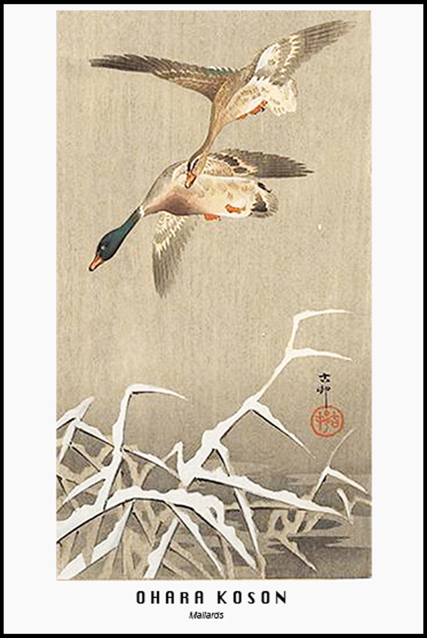 Ohara Koson - Mallards Poster - Hakyarts