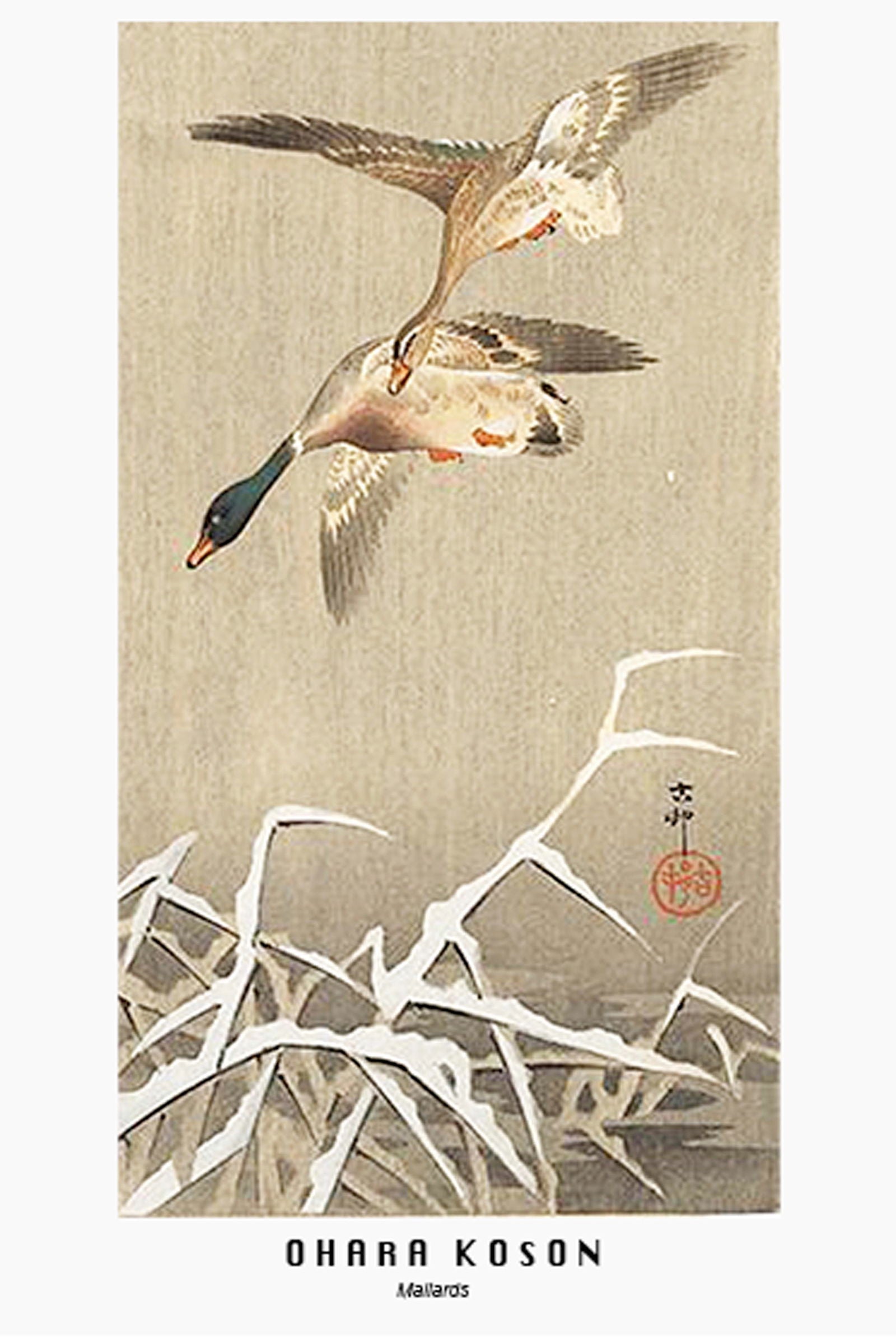 Ohara Koson - Mallards Poster - Hakyarts