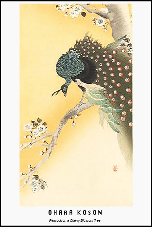 Ohara Koson - Peacock on a Cherry Blossom Tree Poster - Hakyarts