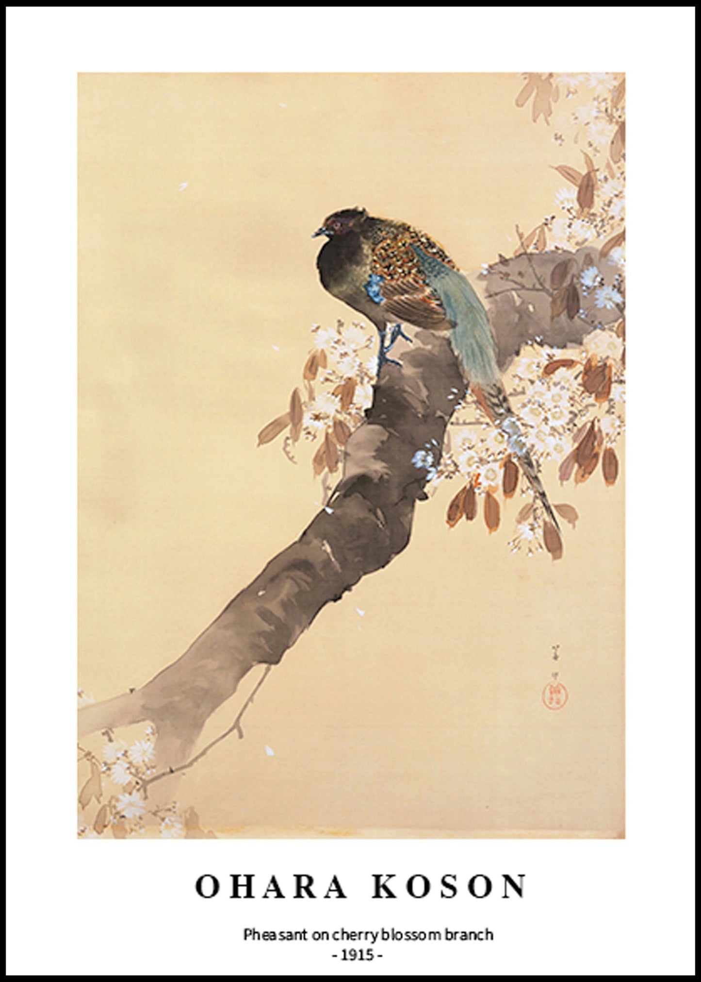 Ohara Koson - Pheasant on cherry blossom branch Poster - Hakyarts