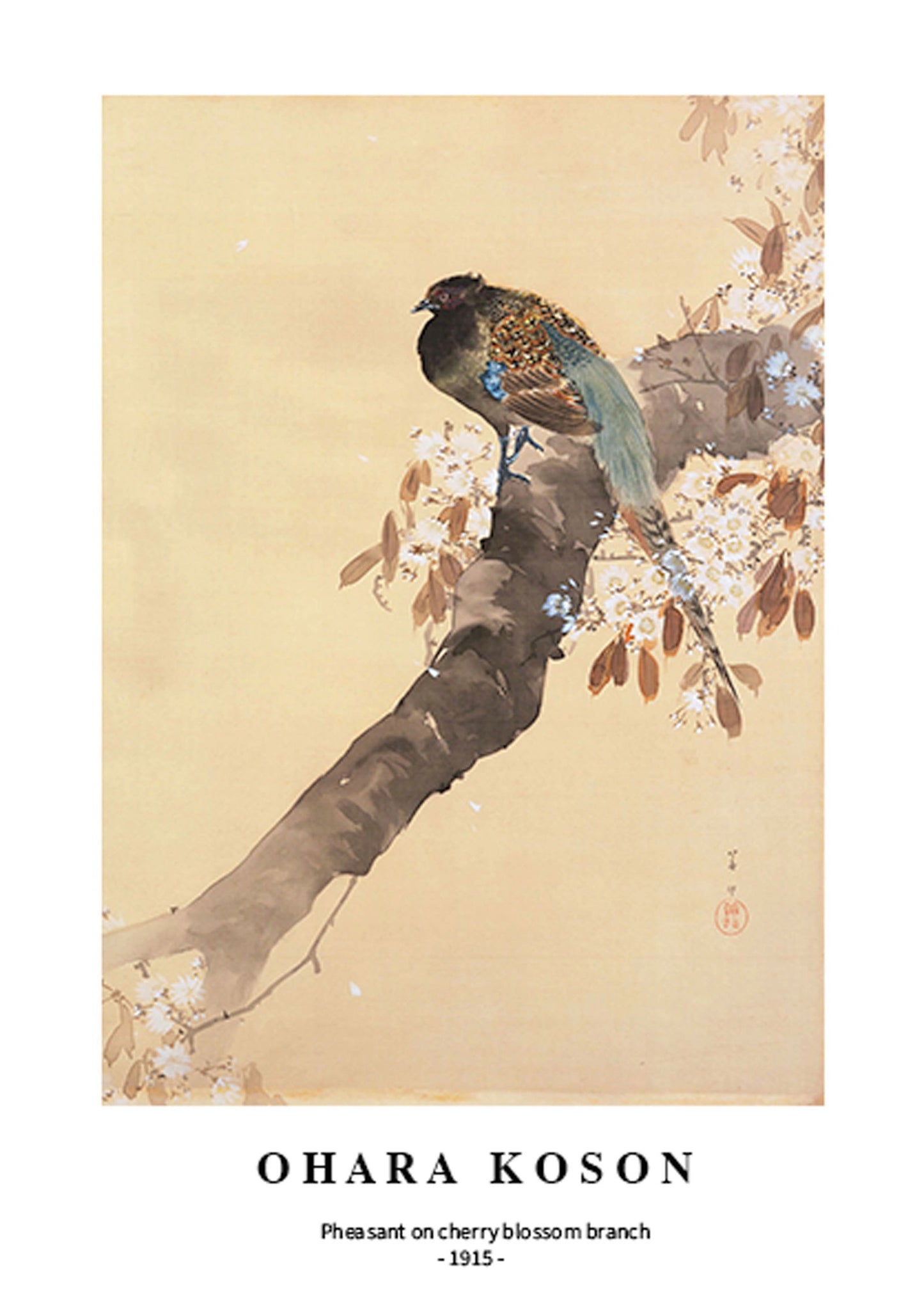 Ohara Koson - Pheasant on cherry blossom branch Poster - Hakyarts