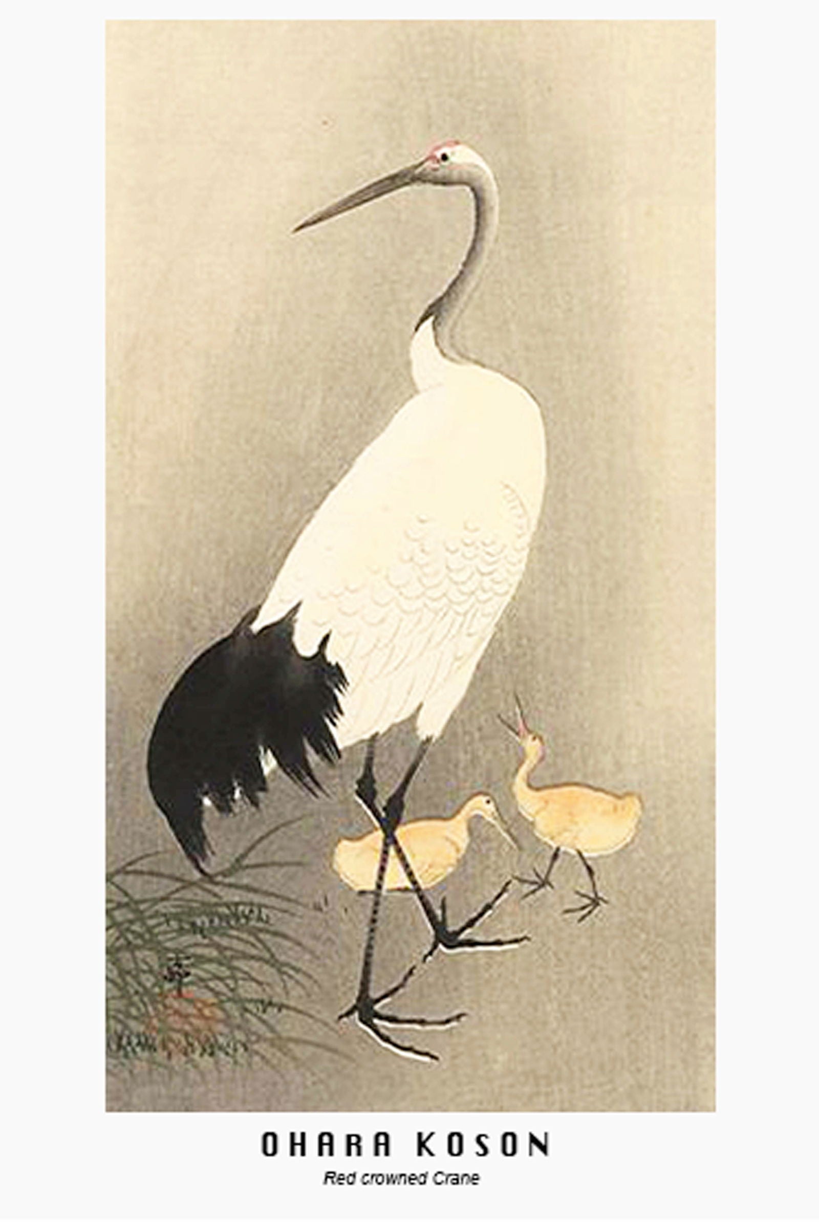 Ohara Koson - Red crowned Crane - Hakyarts