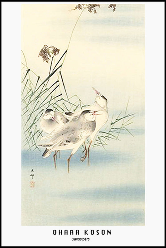 Ohara Koson - Sandpipers Poster - Hakyarts