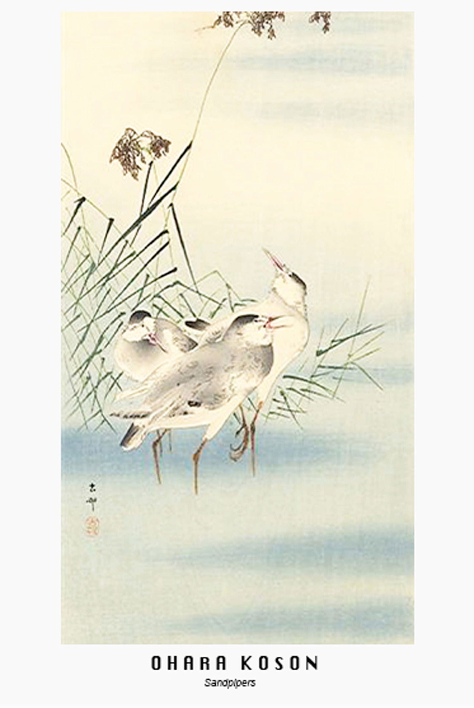 Ohara Koson - Sandpipers Poster - Hakyarts