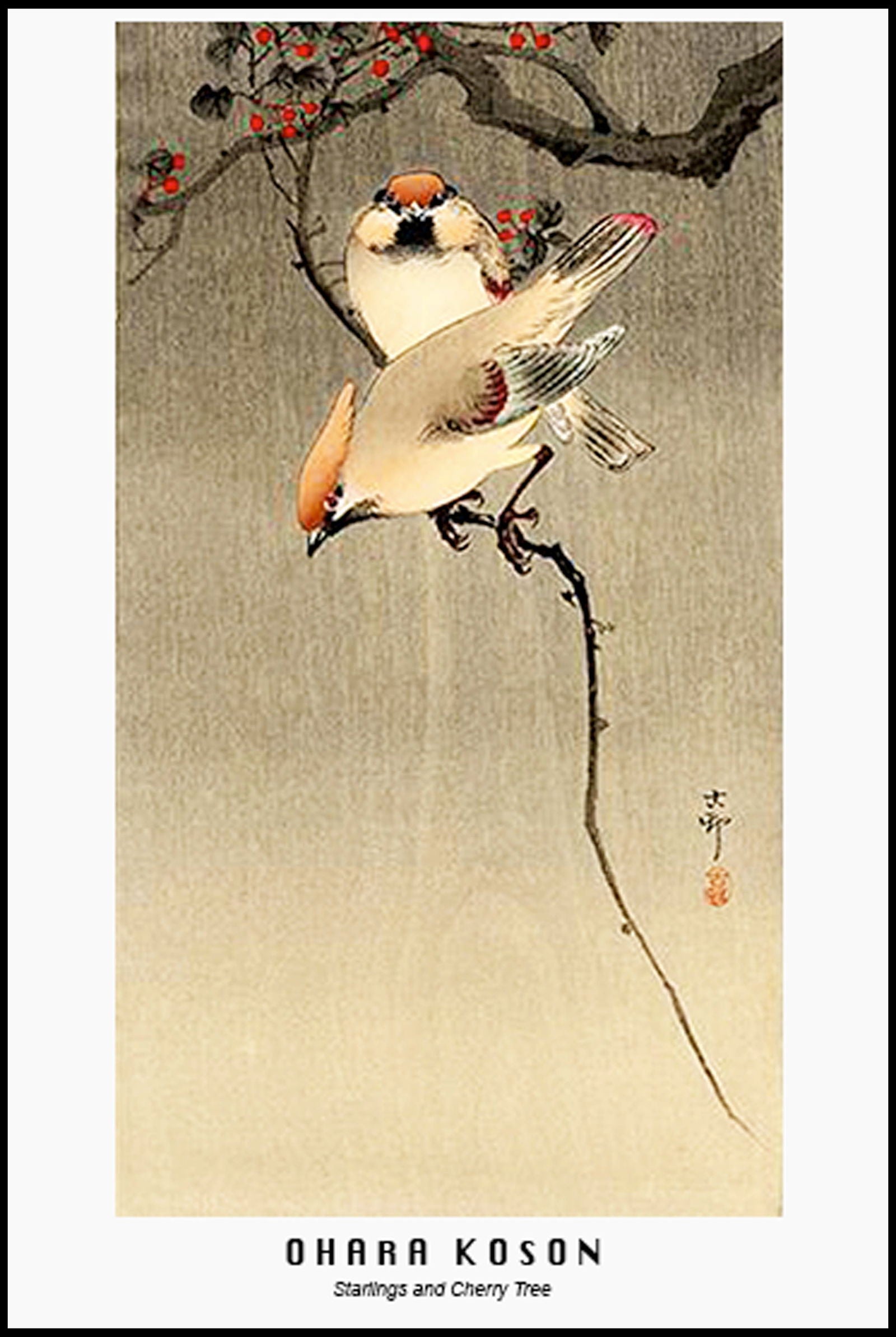 Ohara Koson - Starlings and Cherry Tree Poster - Hakyarts