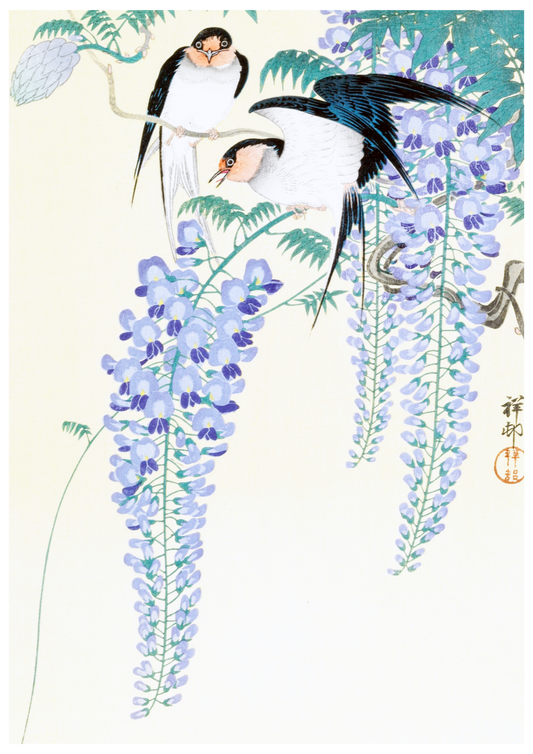 Ohara Koson - Swallows and Wisteria - Hakyarts