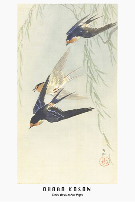 Ohara Koson - Three Birds in Full Flight - Hakyarts