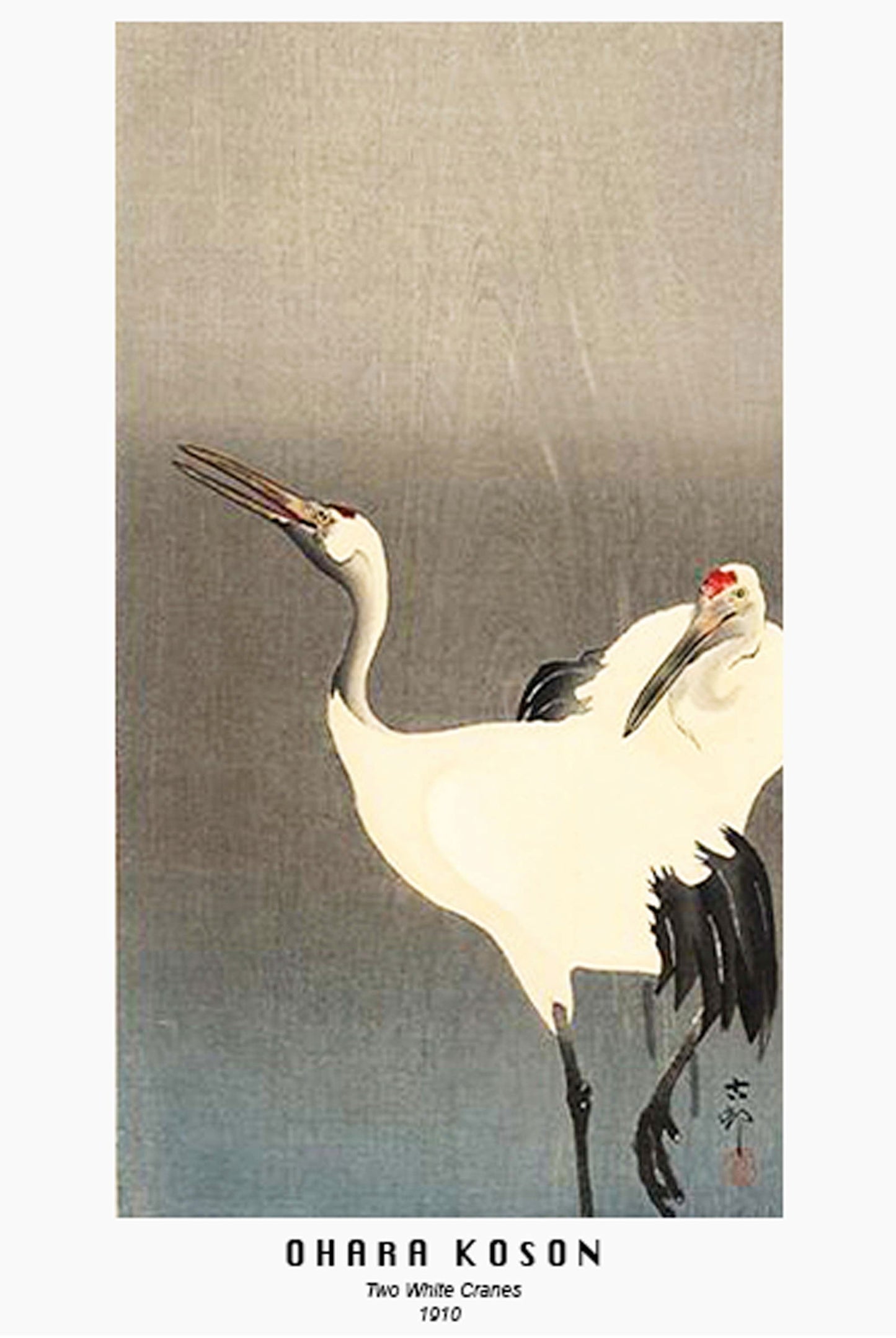 Ohara Koson - Two White Cranes - Hakyarts