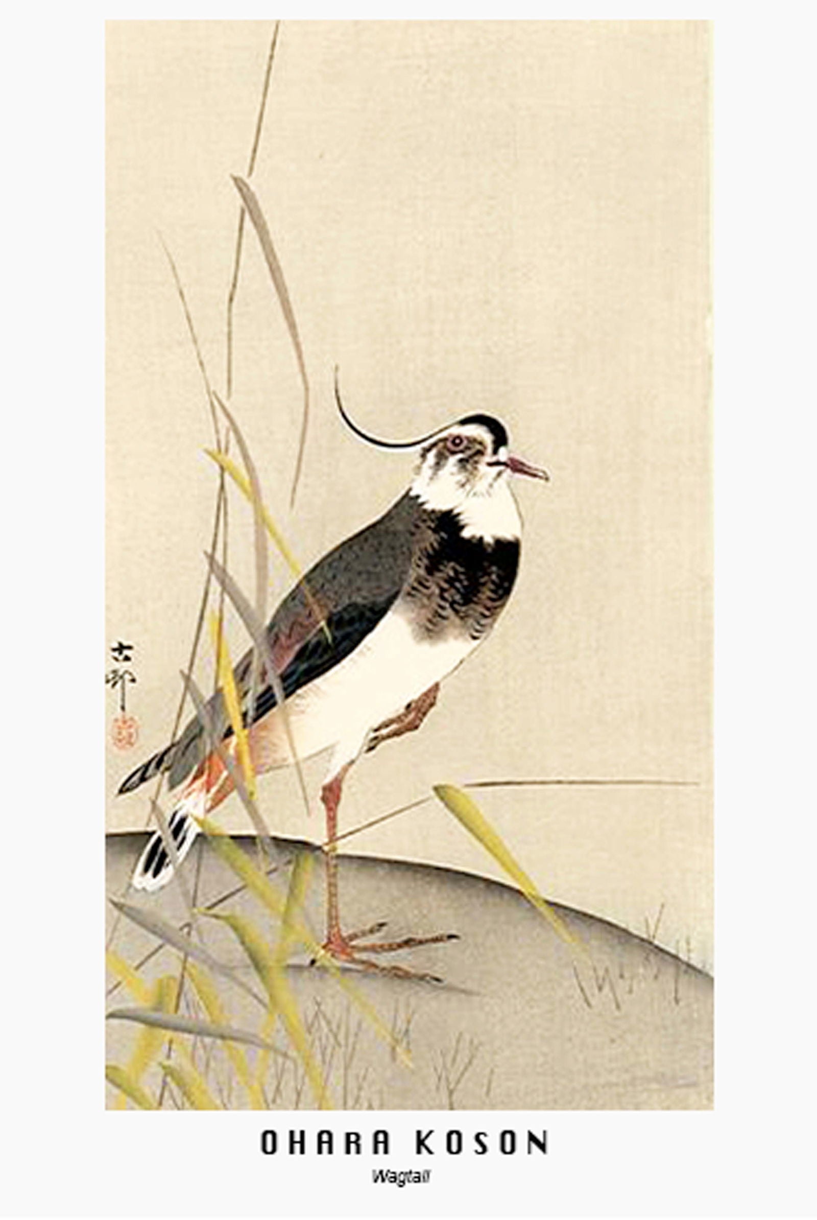 Ohara Koson - Wagtail Poster - Hakyarts