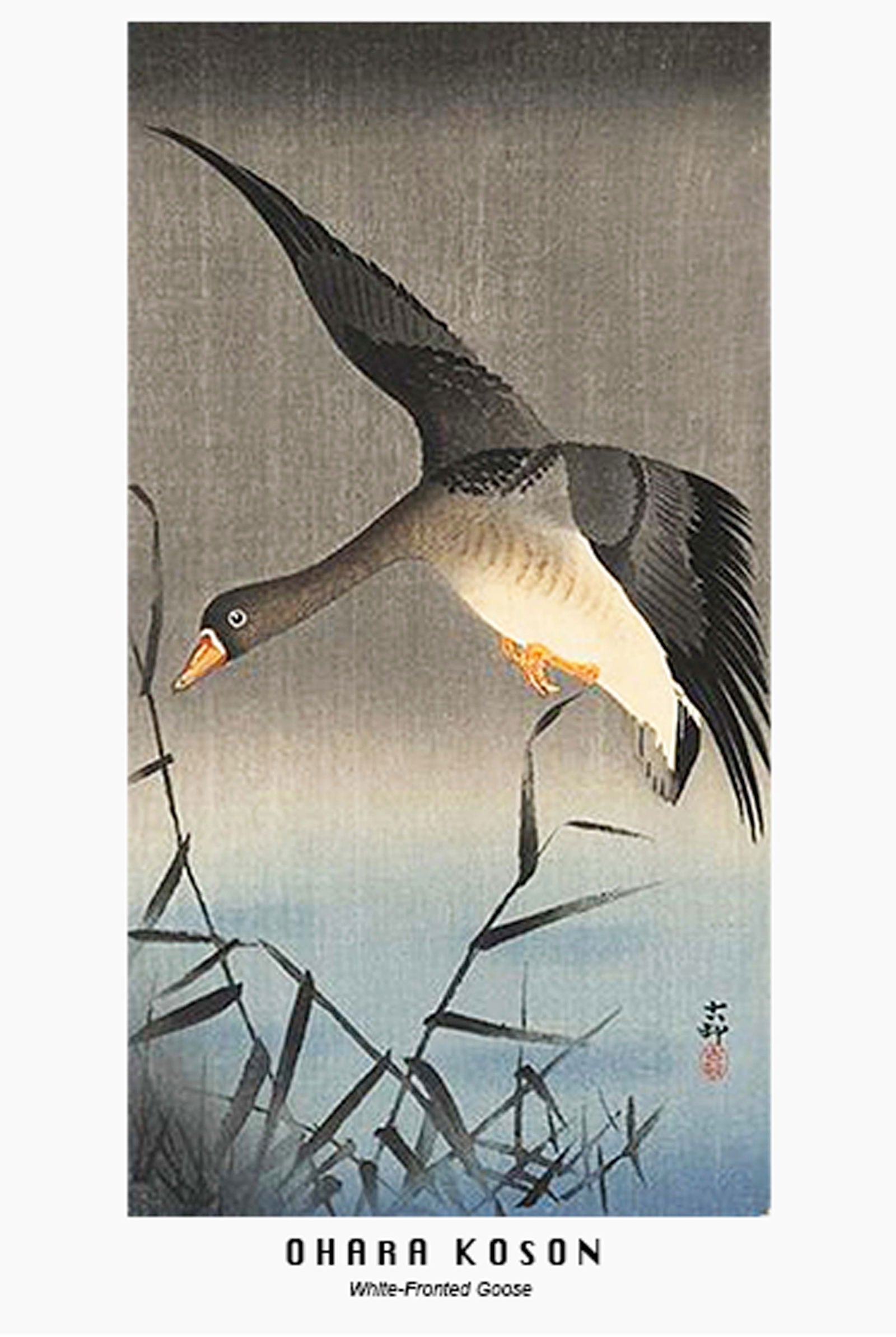 Ohara Koson - White Fronted Goose Poster - Hakyarts