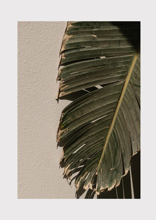 Palm Leaves Poster - Hakyarts