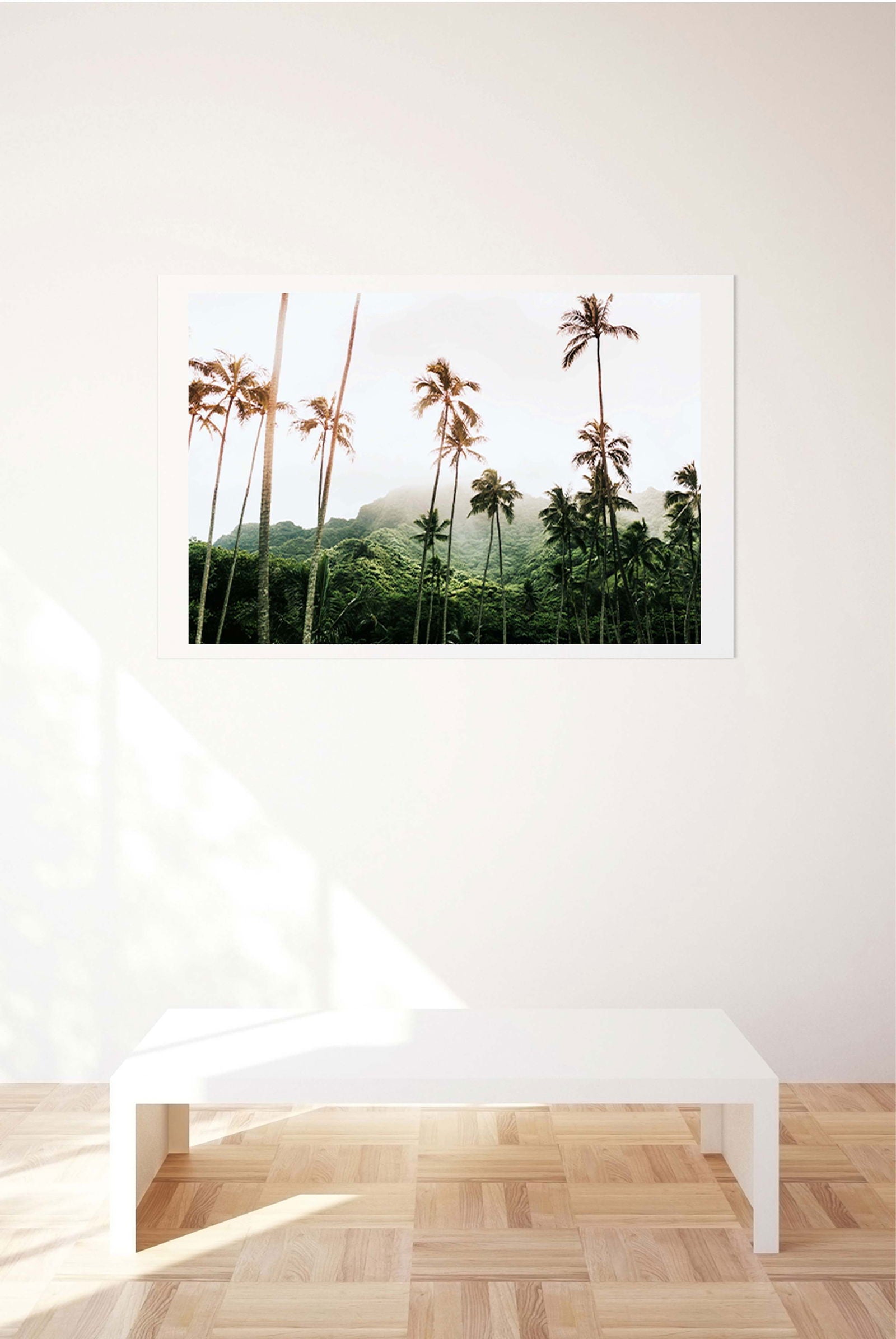 Palm Trees Poster - Hakyarts