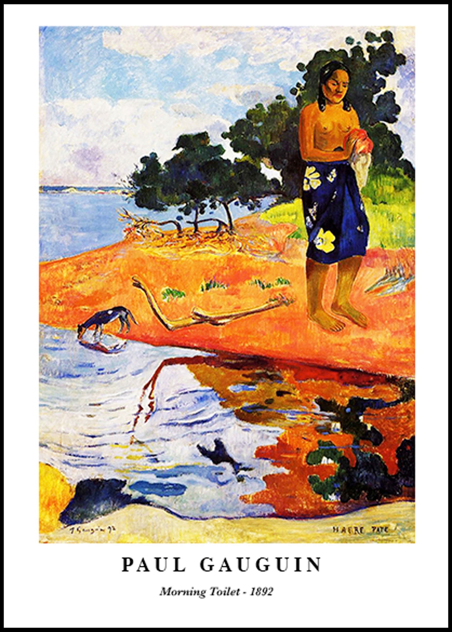 Paul Gauguin - Morning Toilet Poster - Hakyarts