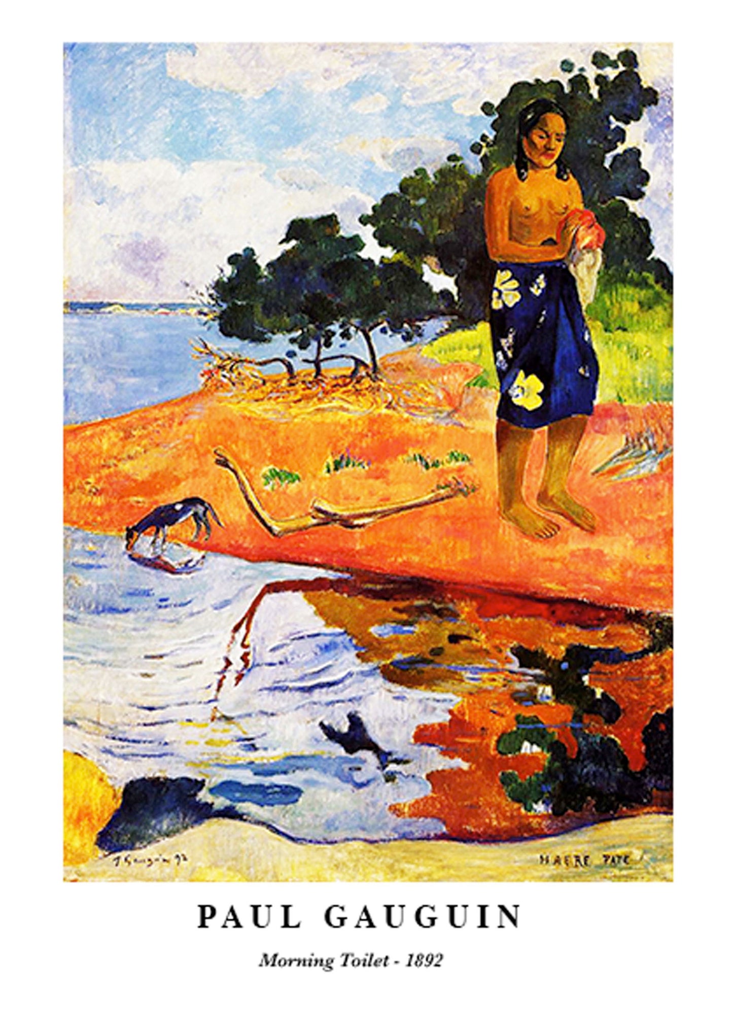 Paul Gauguin - Morning Toilet Poster - Hakyarts