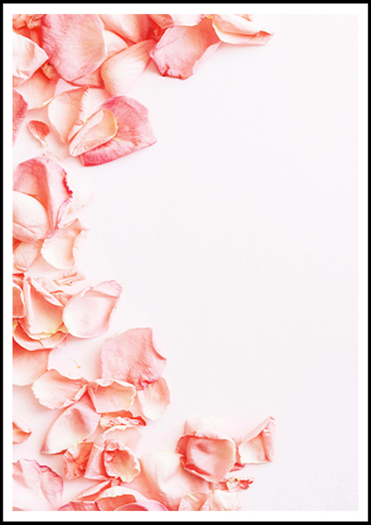 Petal of Roses Poster - Hakyarts