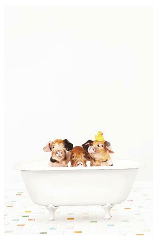 Pigs in A Bathtub Poster - Hakyarts