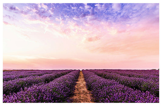 Purple Violet Landscape Poster - Hakyarts