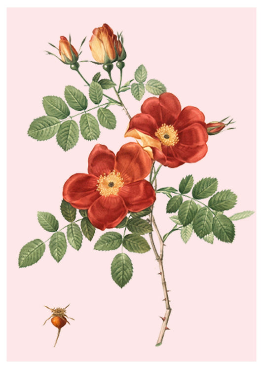 Red Flowers Poster - Hakyarts