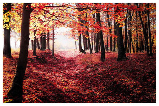 Red Leaves Path Poster - Hakyarts