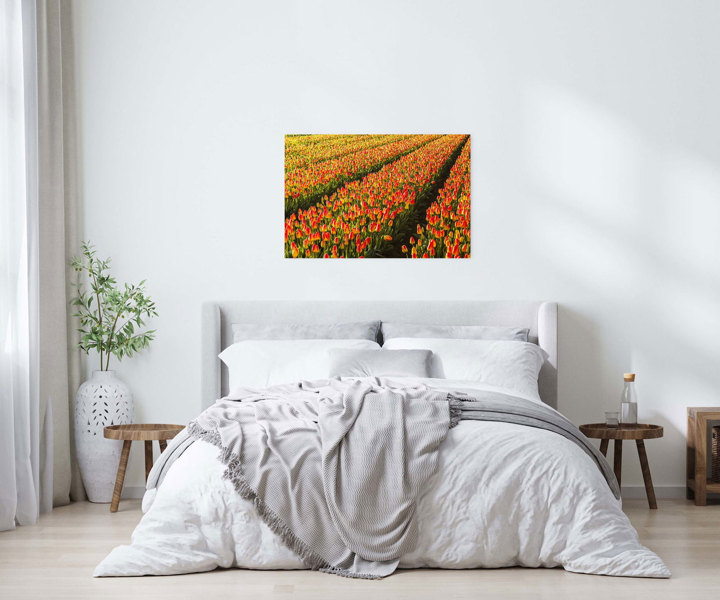 Red Tulip Fields Poster - Hakyarts