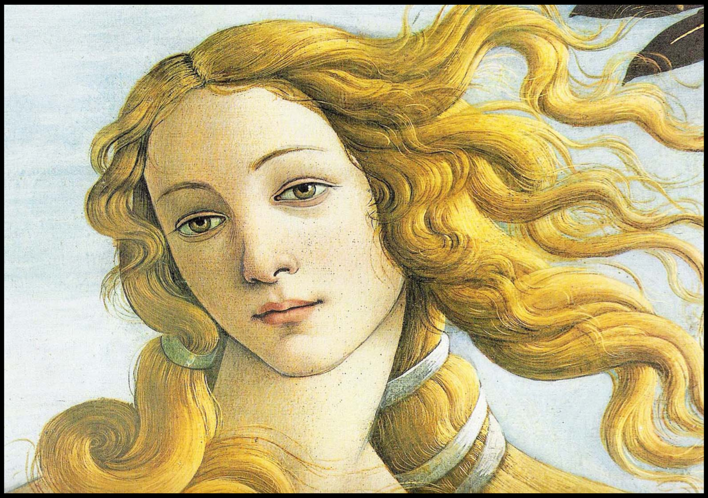 Sandro Botticelli  - Venus Head - Hakyarts