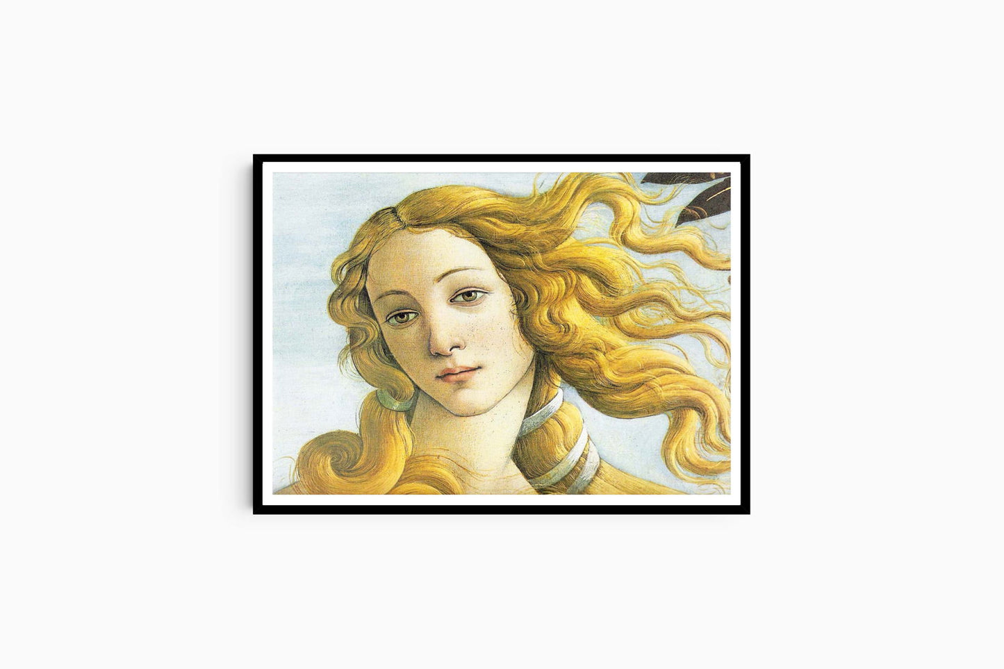 Sandro Botticelli  - Venus Head - Hakyarts