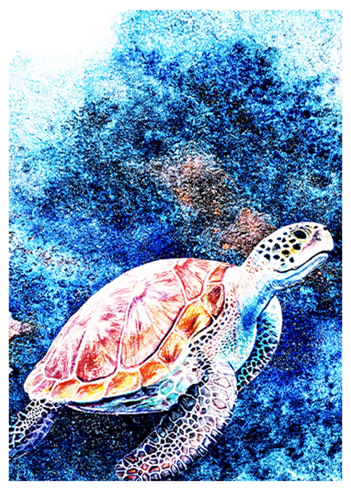 Sea Turtle Poster - Hakyarts