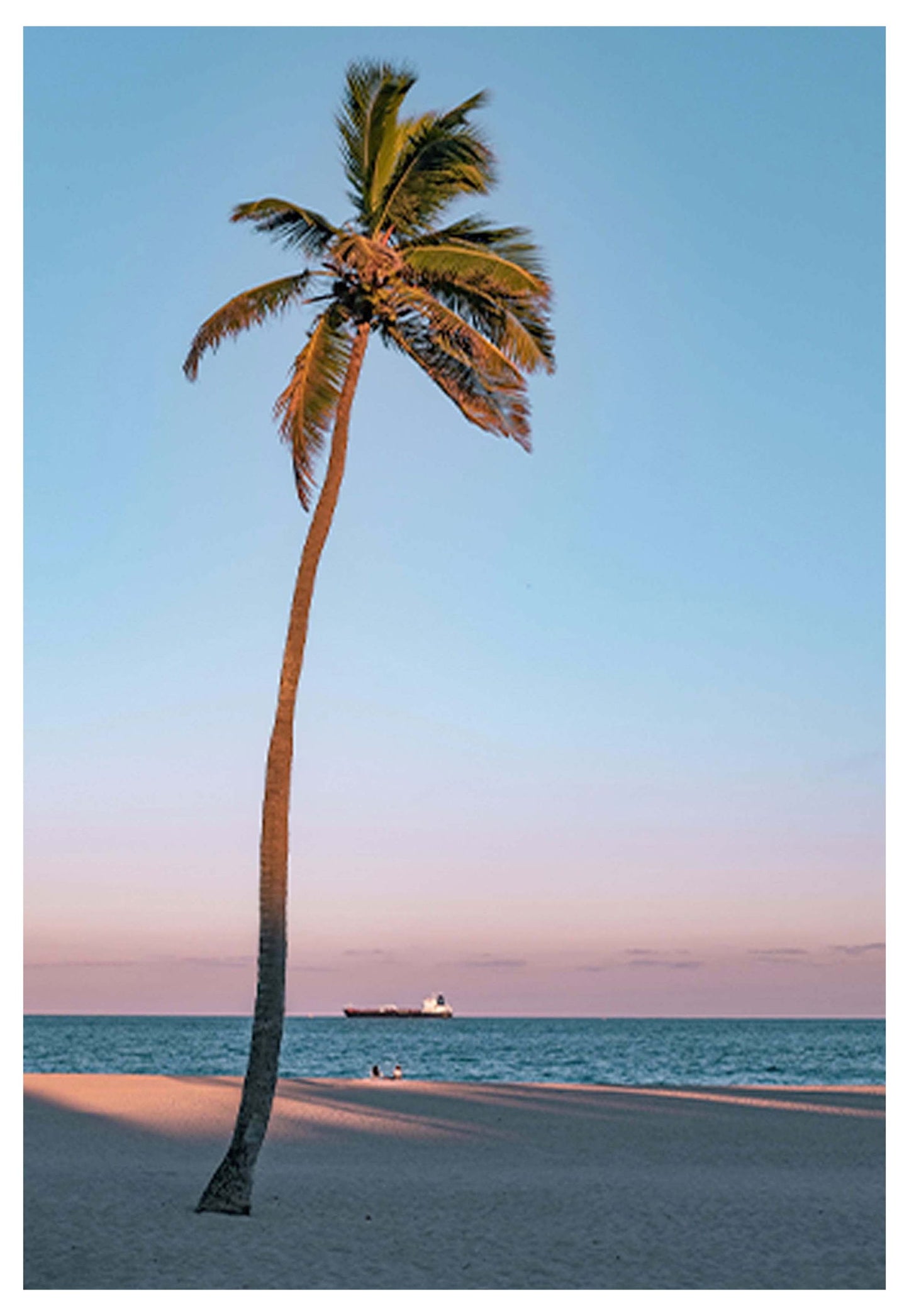 Single Palm Tree Poster - Hakyarts