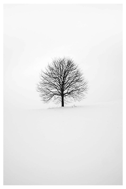 Single Tree No 2 Poster - Hakyarts