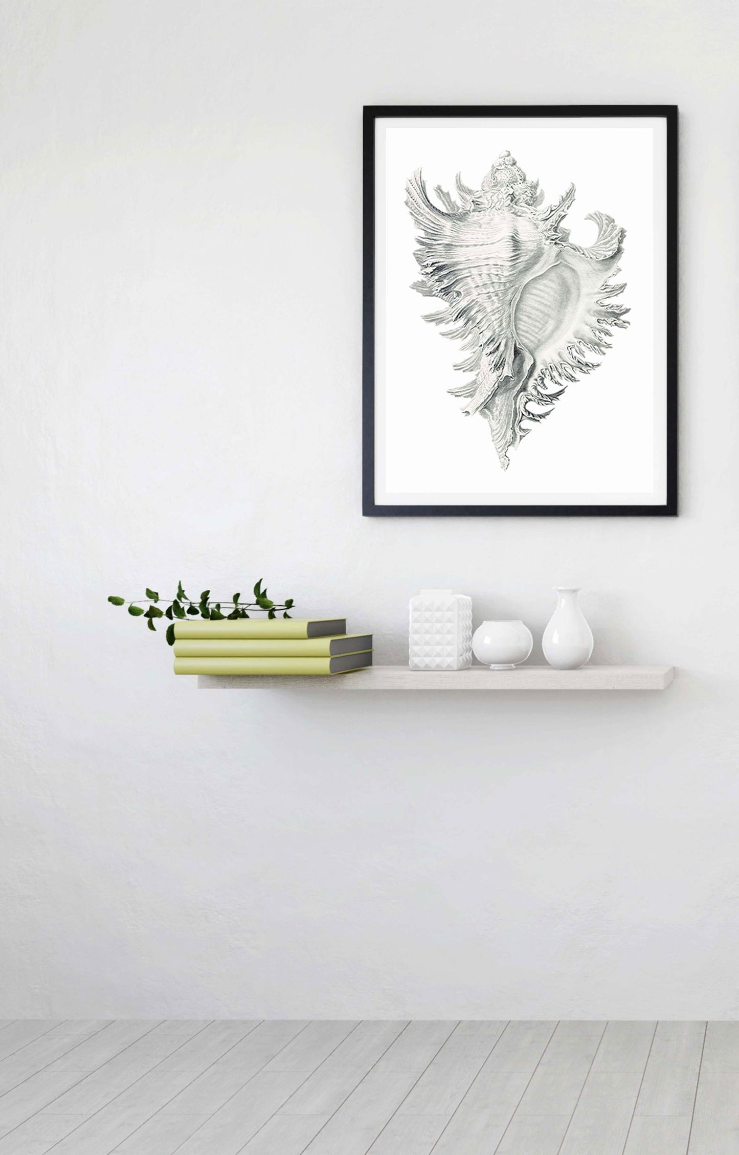 Stone Seashell Poster - Hakyarts